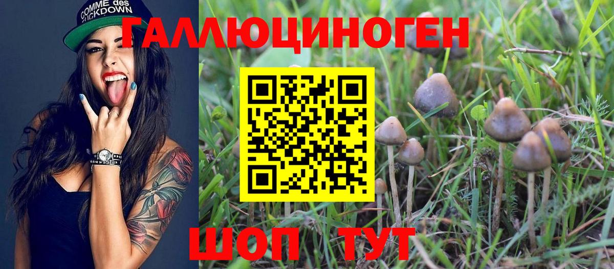 Галлюциногенные грибы MAGIC MUSHROOMS Ликино-Дулёво