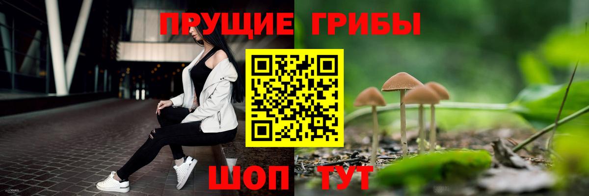 APVP Ликино-Дулёво