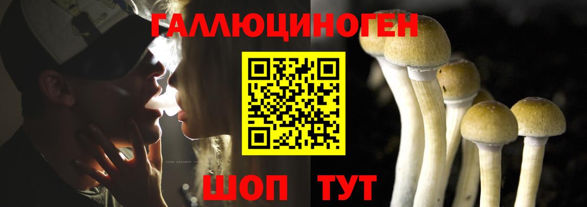 Ликино-Дулёво  Псилоцибиновые грибы Cubensis  наркотики  Вход с VPN 